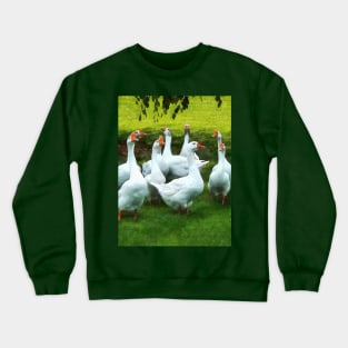 Birds - Gaggle of Geese Crewneck Sweatshirt